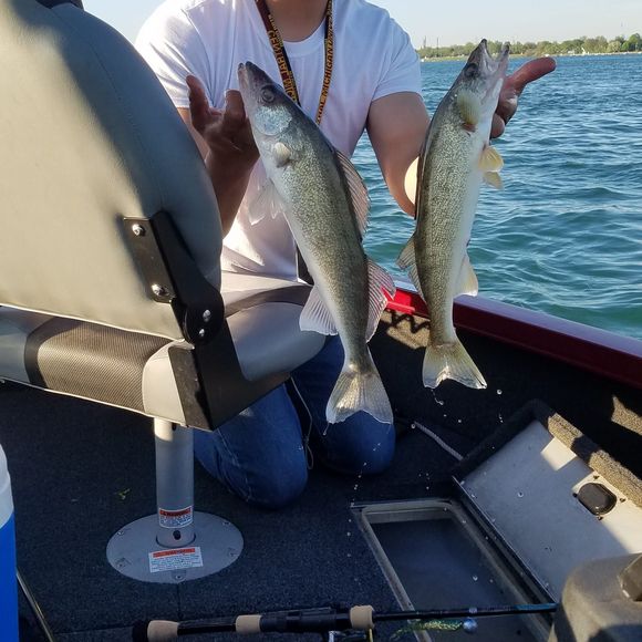 Meet your Posher, Cindy - Picture 1 of 1